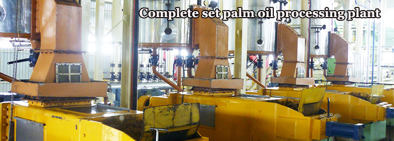 Palm oil processing plant