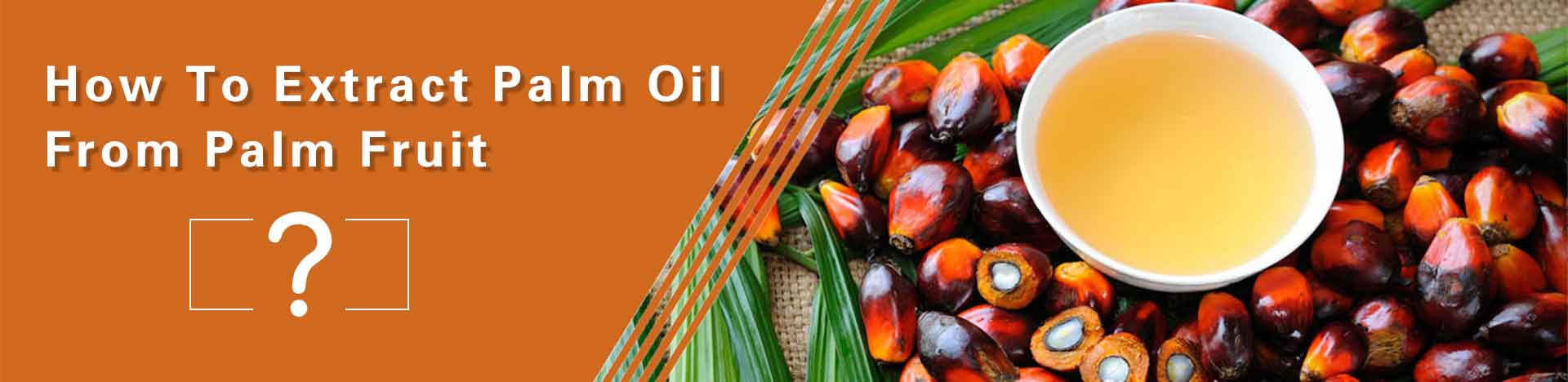 palm oil extraction technology